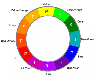 Color Wheel.webp